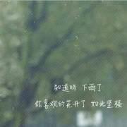 相册目录
